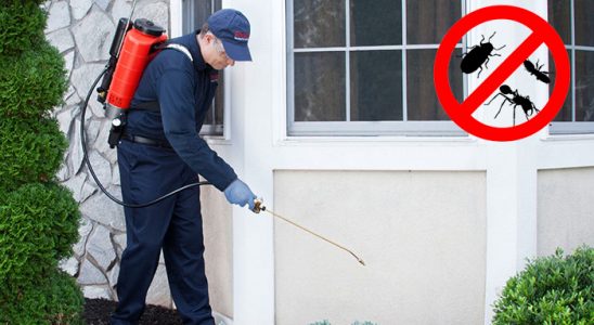 Eleşkirt Bit İlaçlama böcek ilaçlama ve haşere kontrolü — ilaclama-tr.com